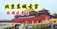 美女被插射水视频中国北京-东城古宫旅游风景区